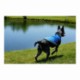 Paws & Claws Reflective Pet Vest - Medium
