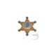 Junior 6 Point Sheriff Star Econo Plastic Badge, Pin Back
