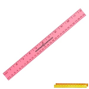 Fluorescent Wood Ruler with Both Scales, 12" - AK2855