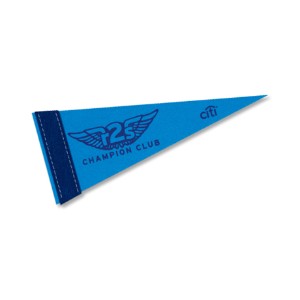 Colored Felt Pennant with 1" Sewn Strip, 4" x 10" - LL1505