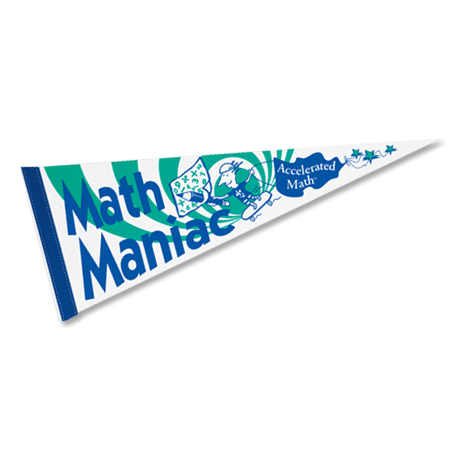 Product Photo 1 White Felt Pennant, 9" x 24"