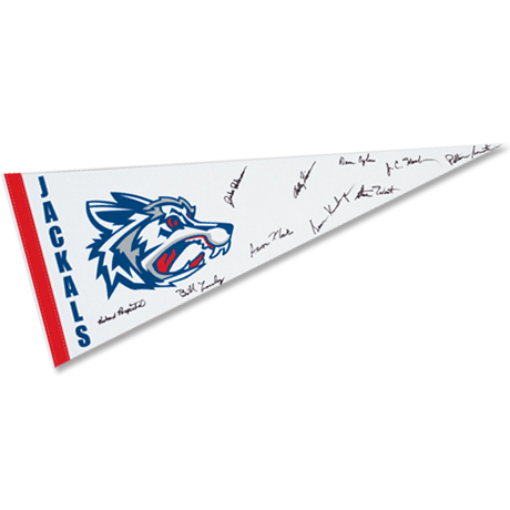 Product Photo 1 White Felt Pennant, 12" x 30"
