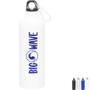 Aluminum Sport Bottle w/ Carabiner, 24oz. - TE3050