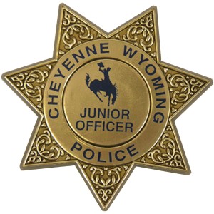 Junior 7 Point Sheriff Star Badge with Pocket Clip, Custom - KN1005