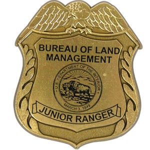 Junior Eagle Design Badge with Pocket Clip, Custom - KN1040