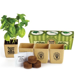 Herb Garden Set - PO1600