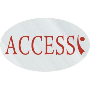 Oval Shape Custom Sticker - Clear, 5/8" to 1 1/8" - GI1040