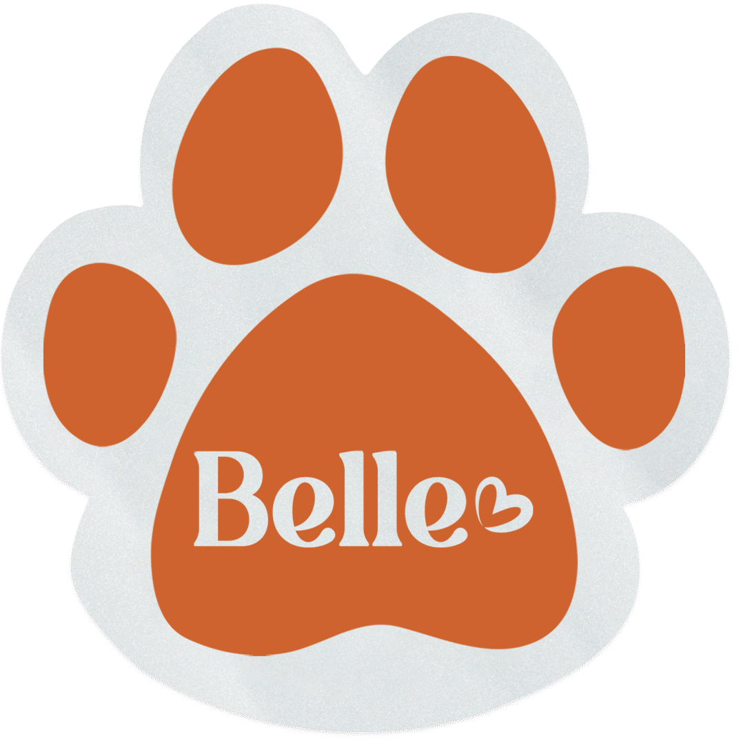 Product Photo 1 Paw Shape Custom Sticker - Clear, 1-7/8"