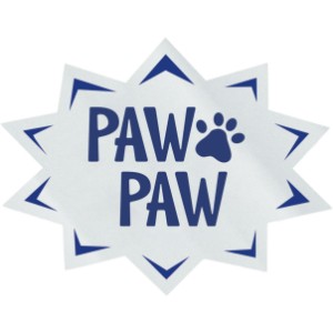 Starburst Shape Custom Sticker - Clear, 1-13/16" - GI1205