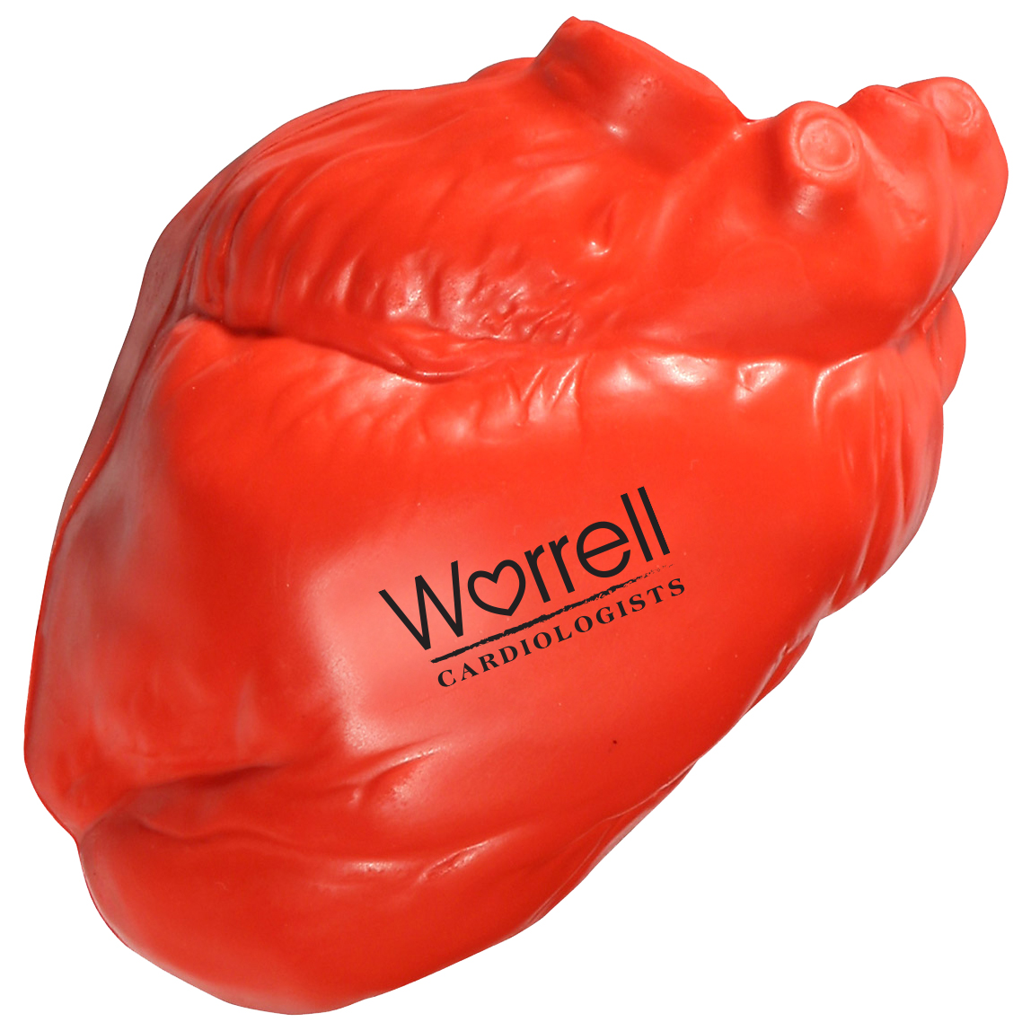Product Photo 1 Anatomical Heart Stress Reliever