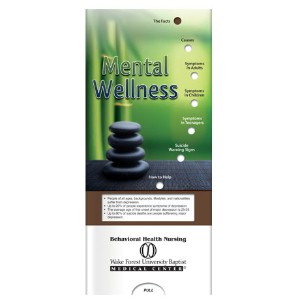 Mental Wellness Pocket Sliders™ - BF2095