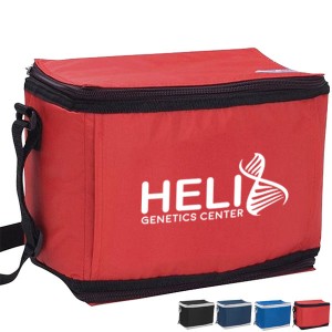 Flexi-Freeze® 6-Can Cooler - CLOSEOUT! - VT2465