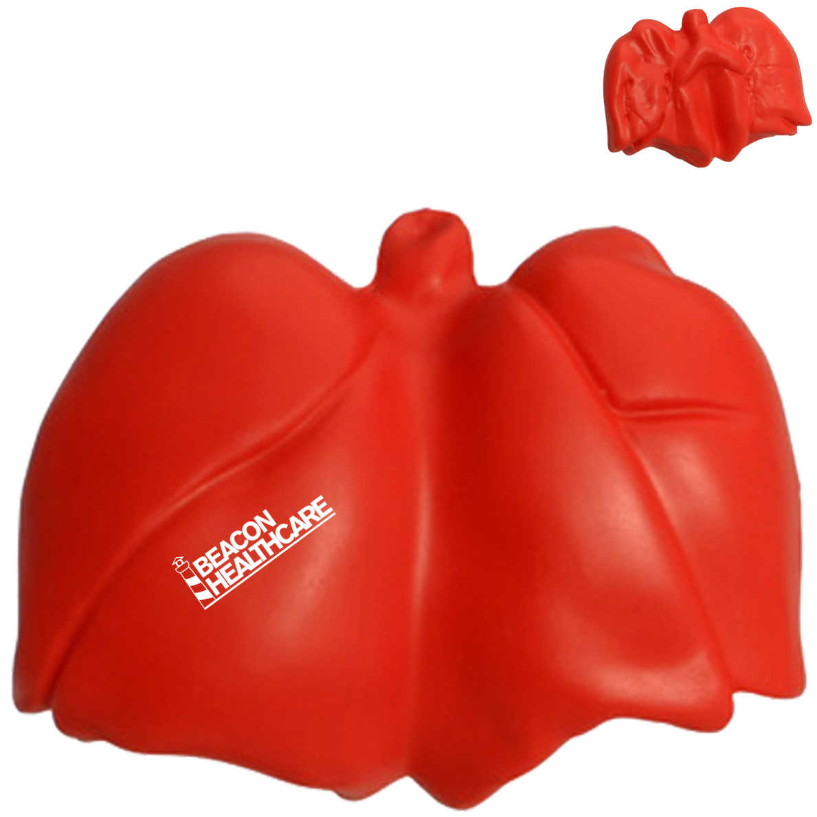 Product Photo 1 Anatomical Lung Stress Reliever