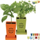 Photo 2 Herb Garden Set, 4-Pack