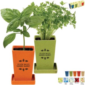 Herb Garden Set, 4-Pack - AK7811