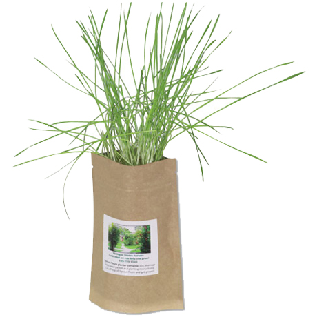 Product Photo 1 Sprout Pouch, 2oz.