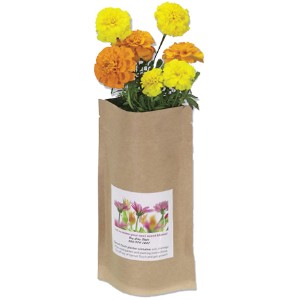 Sprout Pouch, 4oz. - AG5160