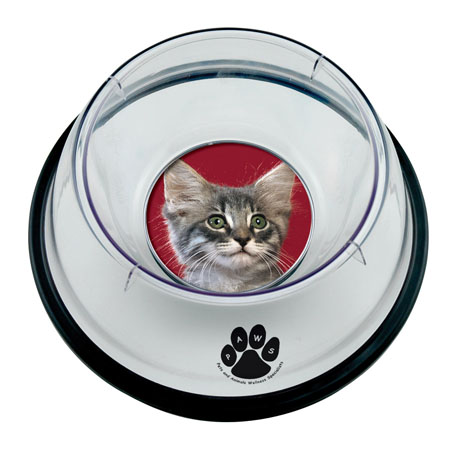 Product Photo 1 Small Pet Photo Food & Water Bowl