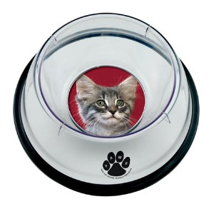 Small Pet Photo Food & Water Bowl - IL1530