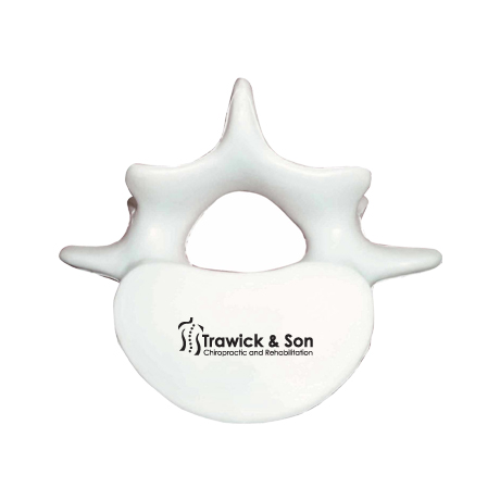 Product Photo 1 Vertebrae Stress Reliever