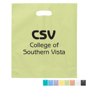 Frosted Brite Plastic Take Home Bag, 15" x 18" - BA1020