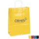Gloss Finish Paper Shopper, 10" x 13", Colors
