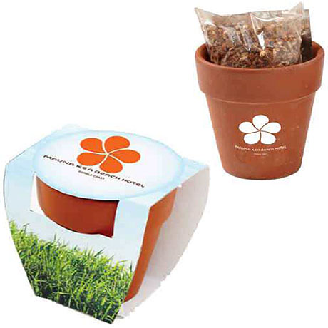 Product Photo 1 Terracotta Pot w/ Seeds
