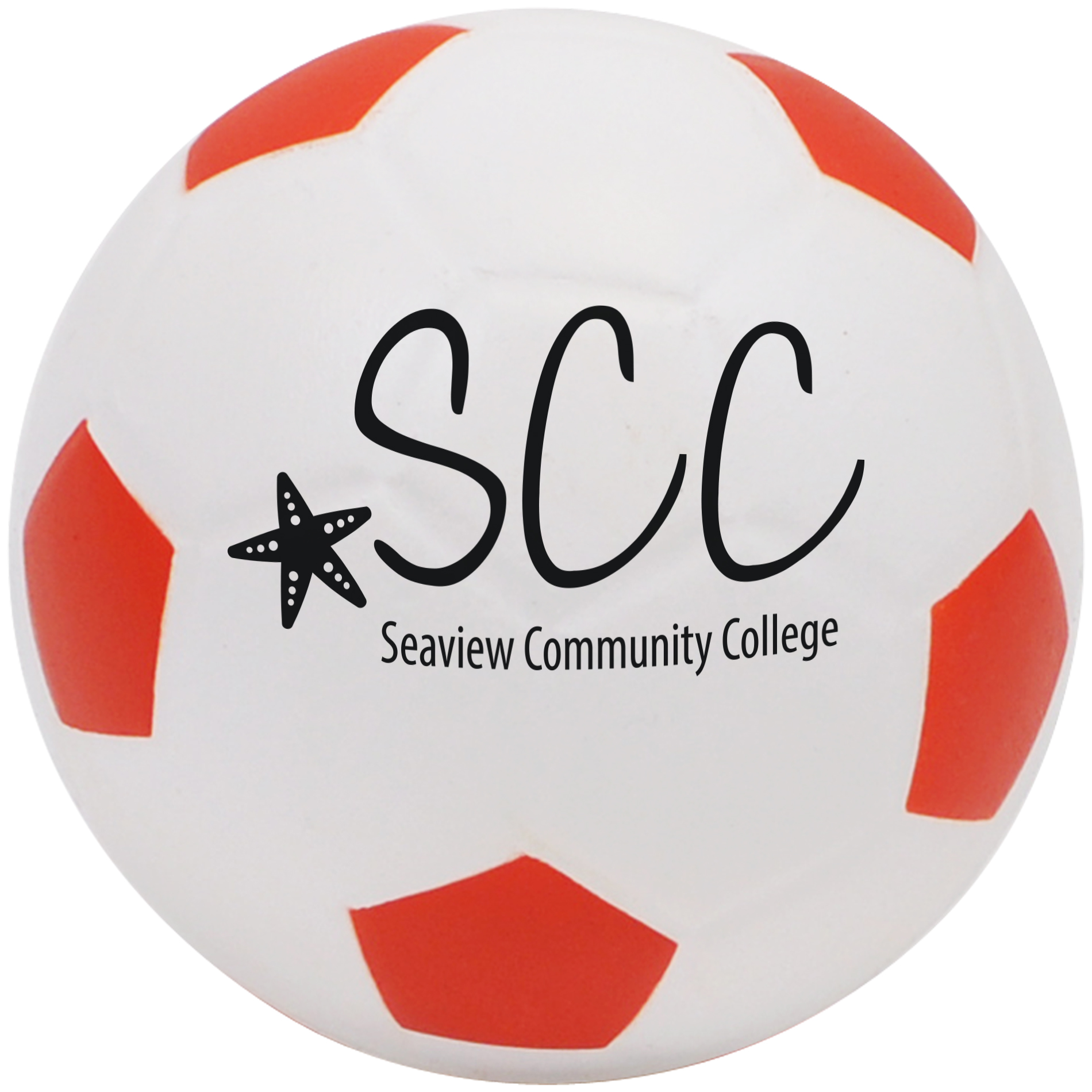 Product Photo 1 Foam Soccer Ball w/ Painted Pentagons, 4"