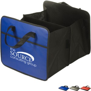 Expandable Auto Organizer - PM1702