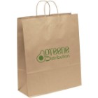 Photo 5 Eco Paper Shopper Bag, 16" x 19-1/4"