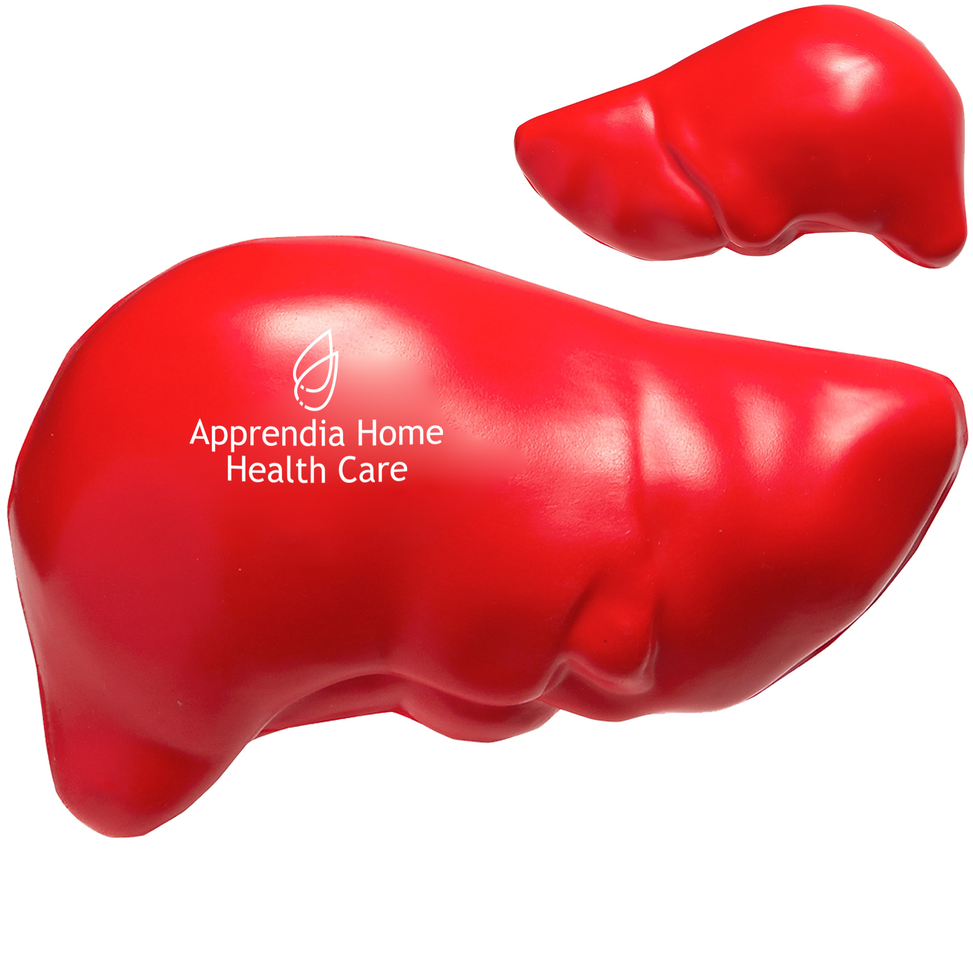 Product Photo 1 Anatomical Liver Stress Reliever