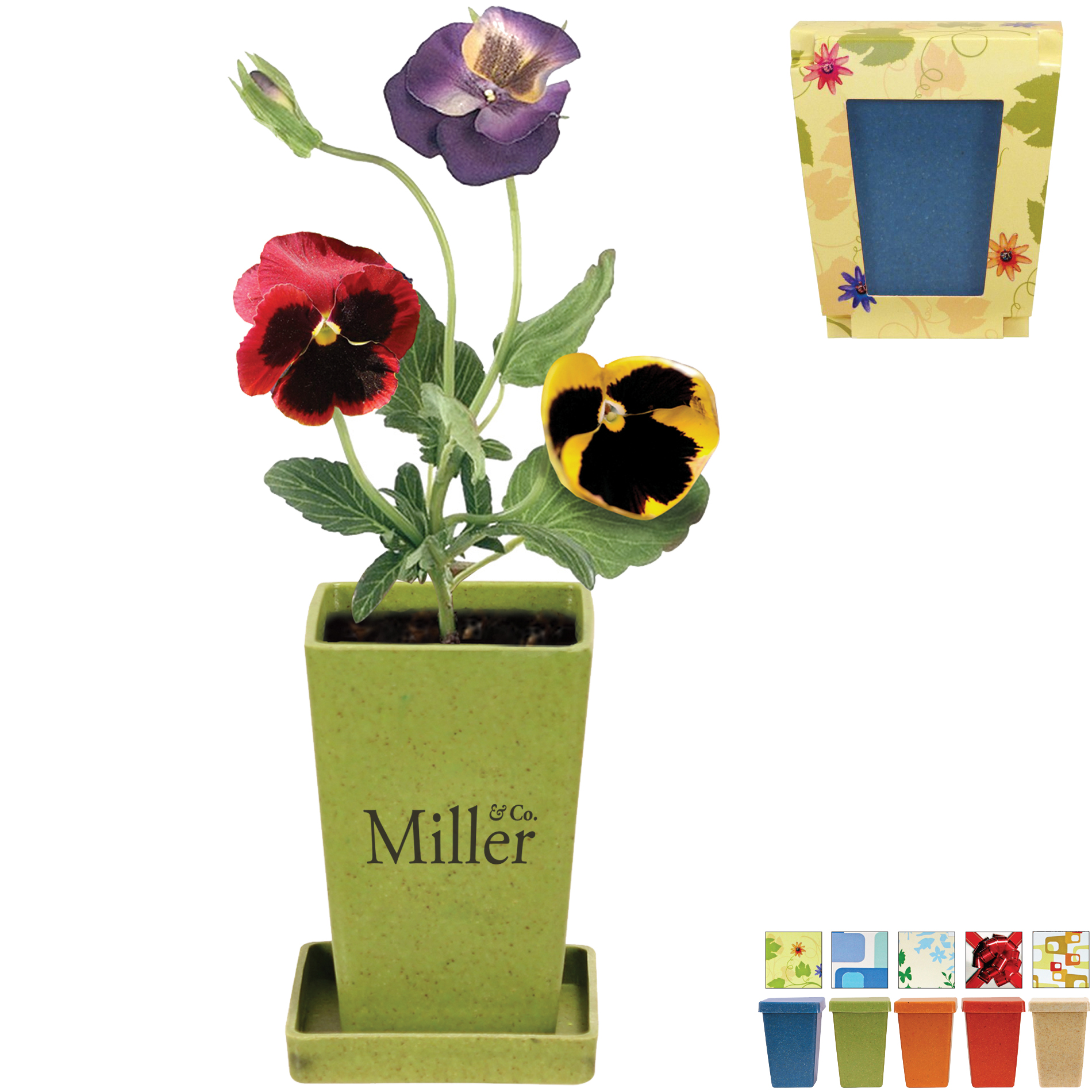 Product Photo 1 Flower Planter, 1 Pack