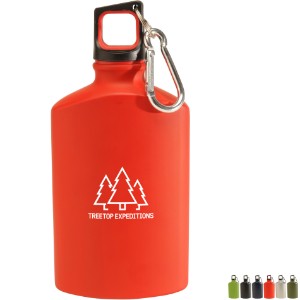 Canteen Aluminum Bottle, 17oz. - EV1601