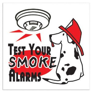 Test Your Smoke Alarms Temporary Tattoo, Stock - FS3000