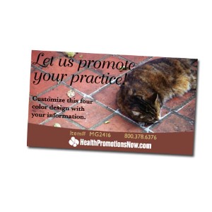 Sleeping Cat Design Magnet - MG2416