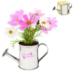 Watering Can Flower Planter Kit - AG2175