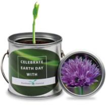 Paint Pail Flower Planter Kit