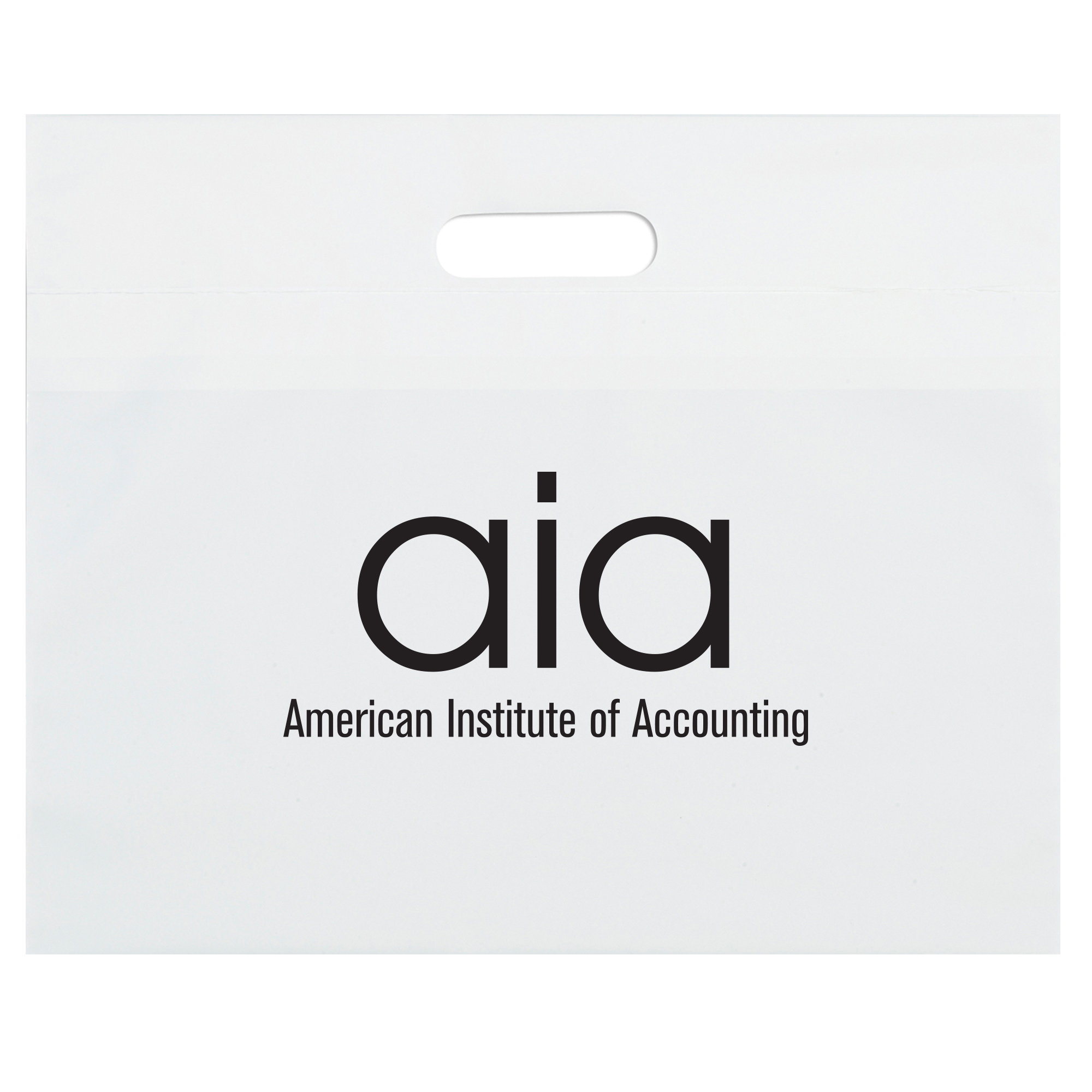 Product Photo 1 White Take Home Plastic Bag, 16" x 13"