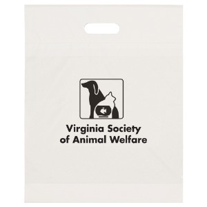 Eco Take Home Plastic Bag, 15" x 19" - BA2144