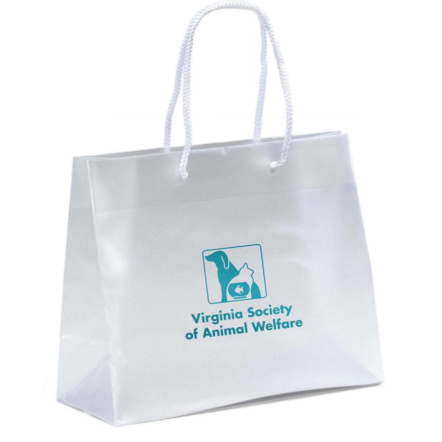 Product Photo 1 Frosted Eurotote Gift Bag, 10" x 8"