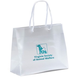 Frosted Eurotote Gift Bag, 10" x 8" - BA2175