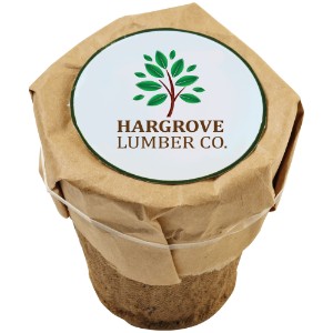 Growables Planter and Seed Kit - JN3007