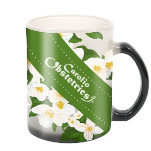 Glass Reveal Color Changing Mug, 11oz. - XP1201