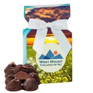 Chocolate Covered Truffles in an Ovation Box - ZA4027