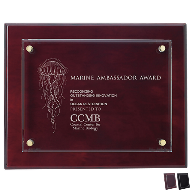 Product Photo 1 Floating Glass Award Plaque, 8" x 10"