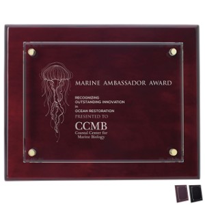 Floating Glass Award Plaque, 8" x 10" - JA5245