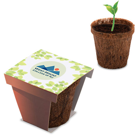 Product Photo 1 Coco Flower Planter Starter Kit