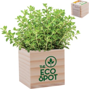 Wooden Cube Blossom Kit - IL7227