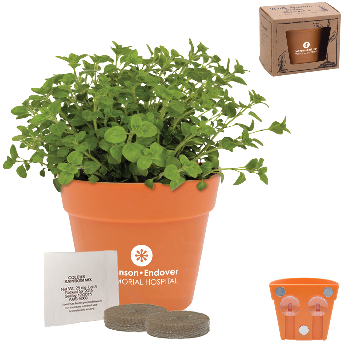 Product Photo 1 Wall Sprouts Planter Blossom Kit