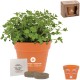 Wall Sprouts Planter Blossom Kit